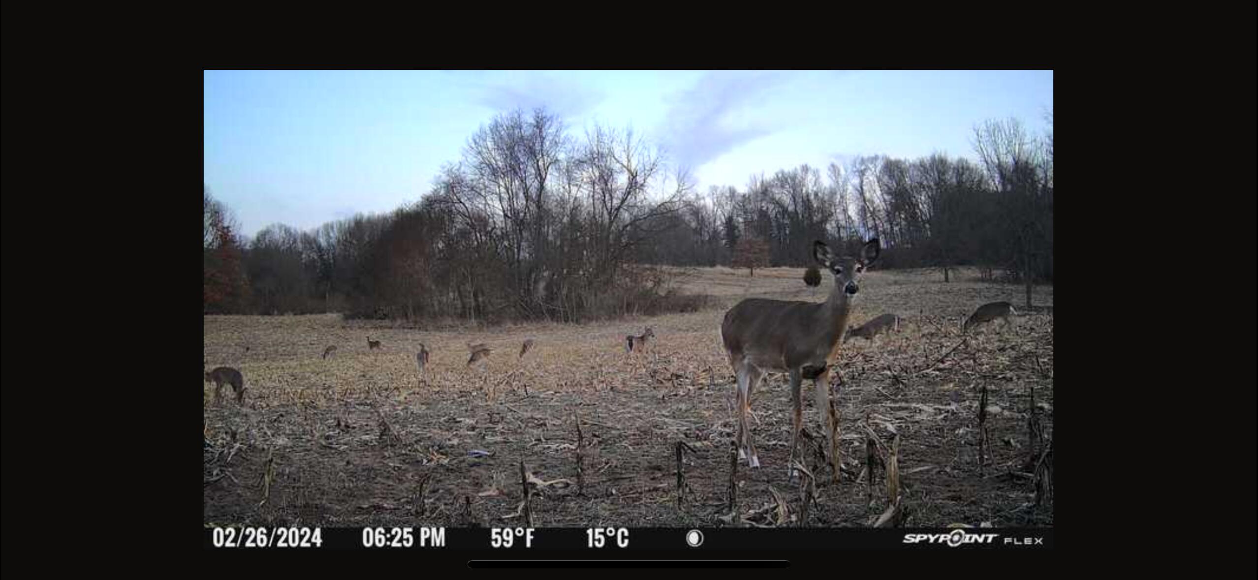 V/l Banker Street Sturgis, MI 49091 - Photo 42 of 46 IMG_6555