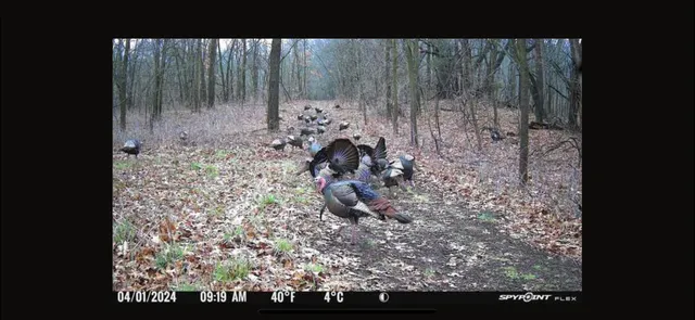 $849,000 | V/l Banker Street, Sturgis, MI 49091