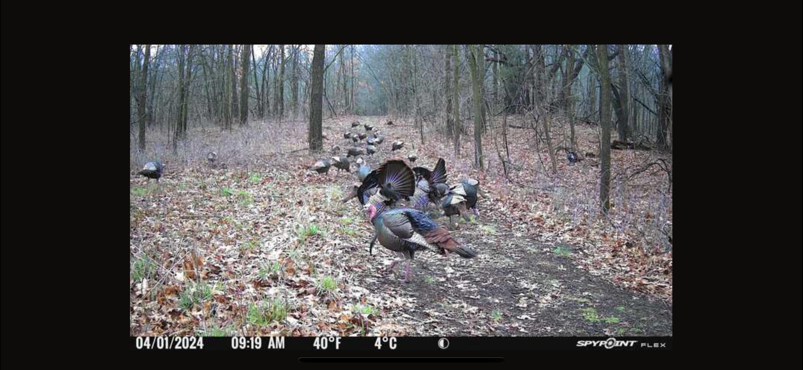 V/l Banker Street Sturgis, MI 49091 - Photo 43 of 46 IMG_6558