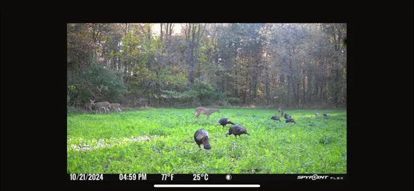 $849,000 | V/l Banker Street, Sturgis, MI 49091