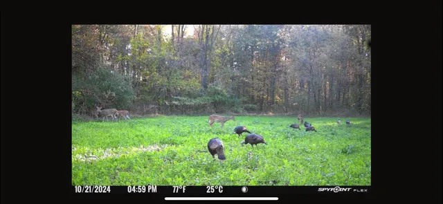 $849,000 | V/l Banker Street, Sturgis, MI 49091