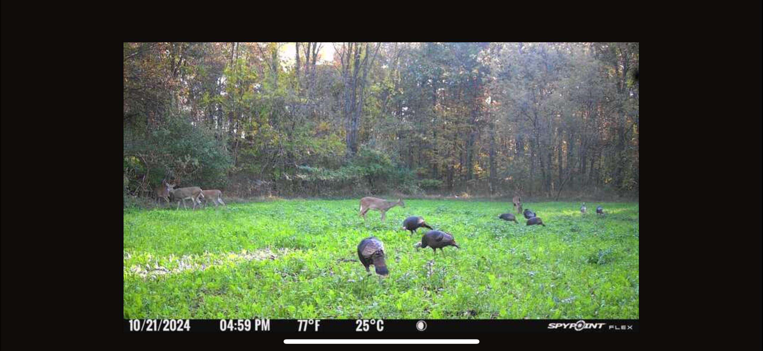 V/l Banker Street Sturgis, MI 49091 - Photo 44 of 46 IMG_6565