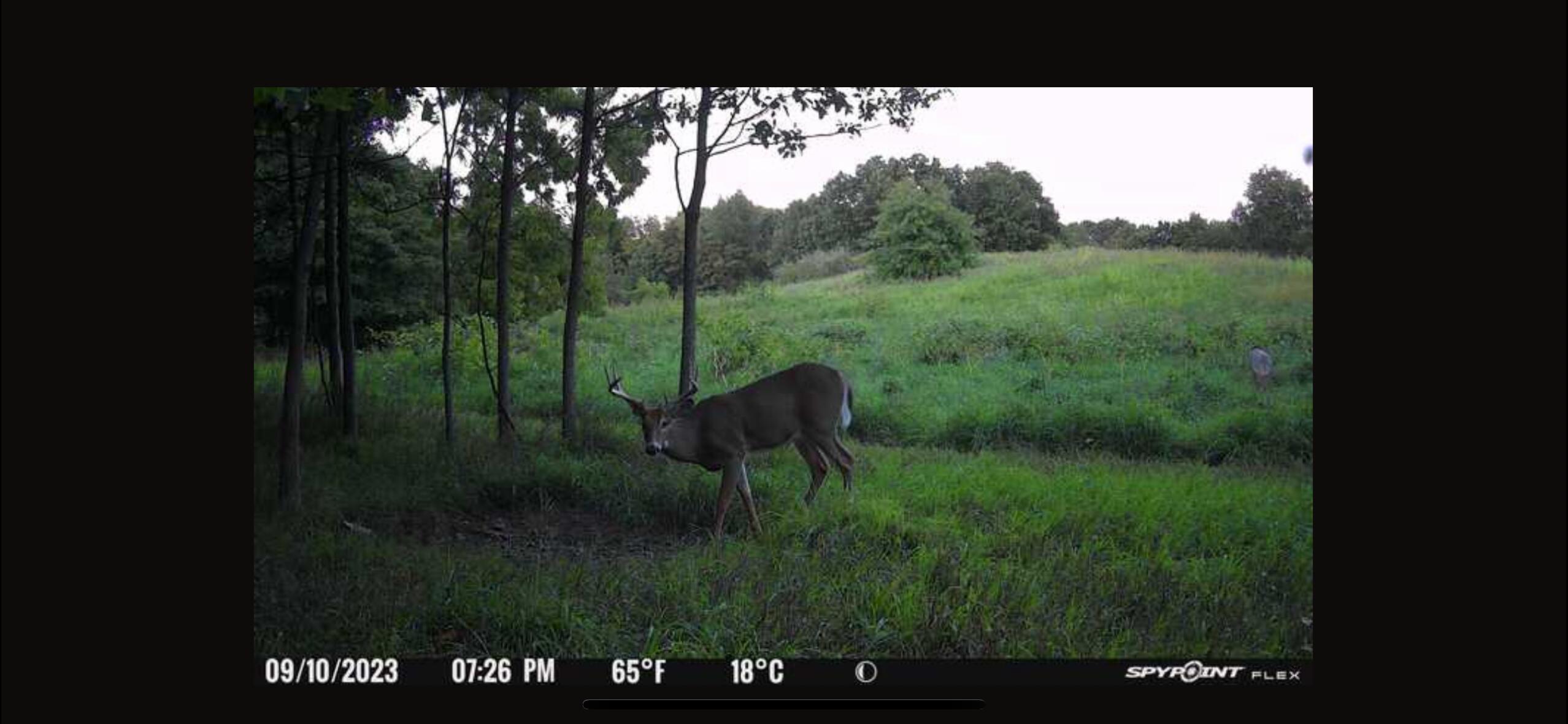 V/l Banker Street Sturgis, MI 49091 - Photo 45 of 46 IMG_6534