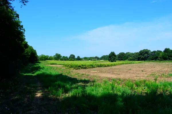 $849,000 | V/l Banker Street, Sturgis, MI 49091