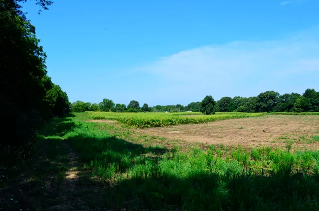 $849,000 | V/l Banker Street, Sturgis, MI 49091