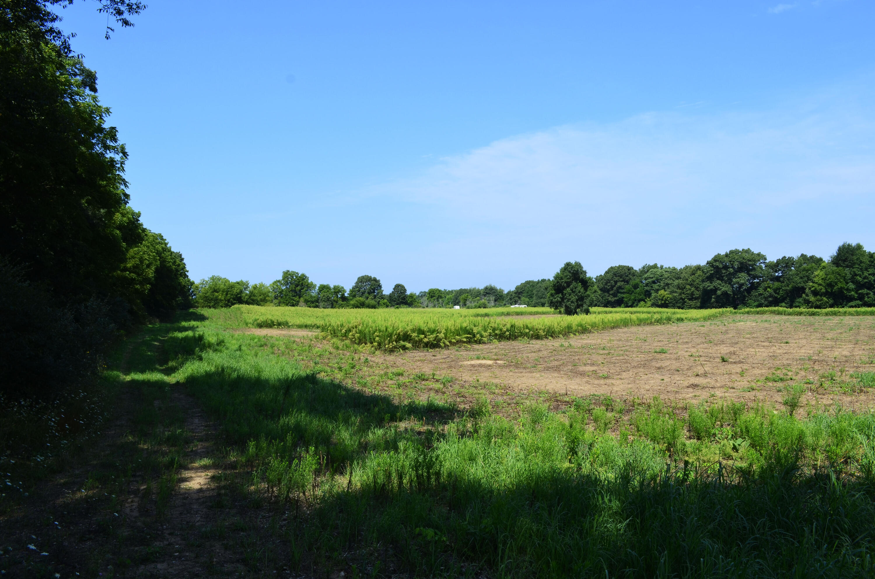V/l Banker Street Sturgis, MI 49091 - Photo 5 of 46 _DSC0013