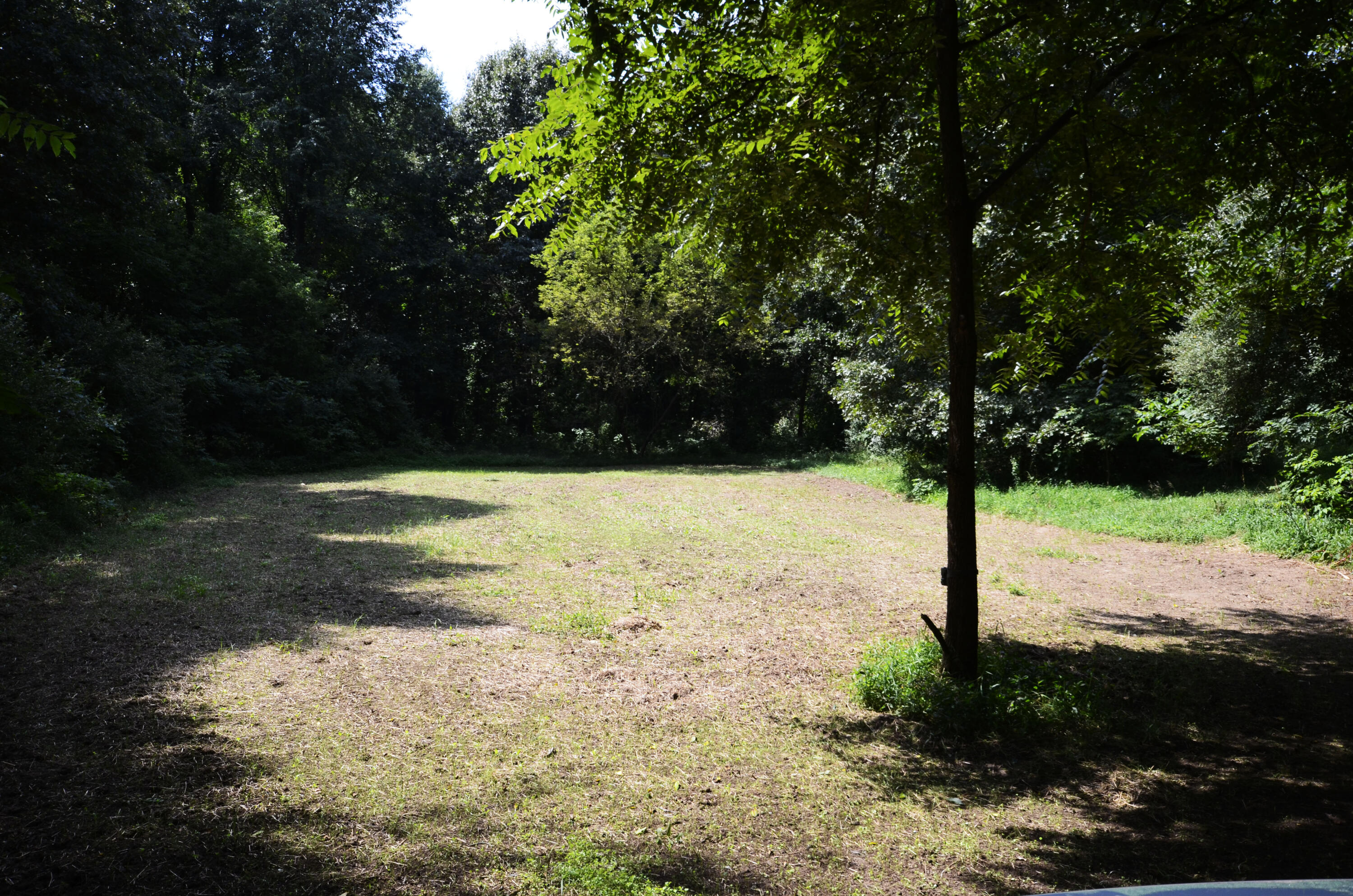 V/l Banker Street Sturgis, MI 49091 - Photo 6 of 46 _DSC0056