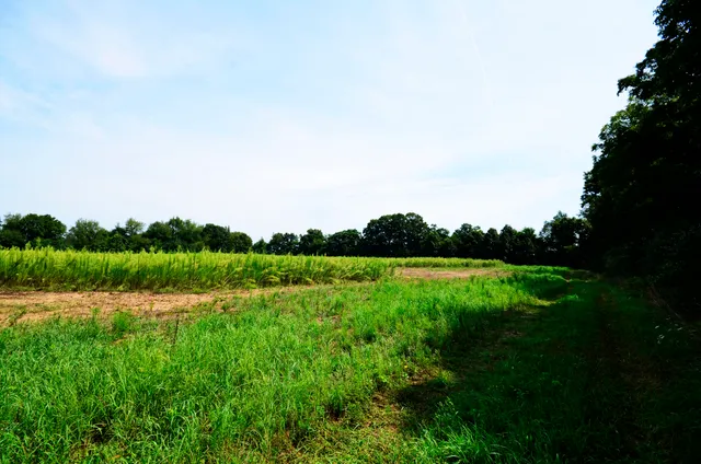 $849,000 | V/l Banker Street, Sturgis, MI 49091