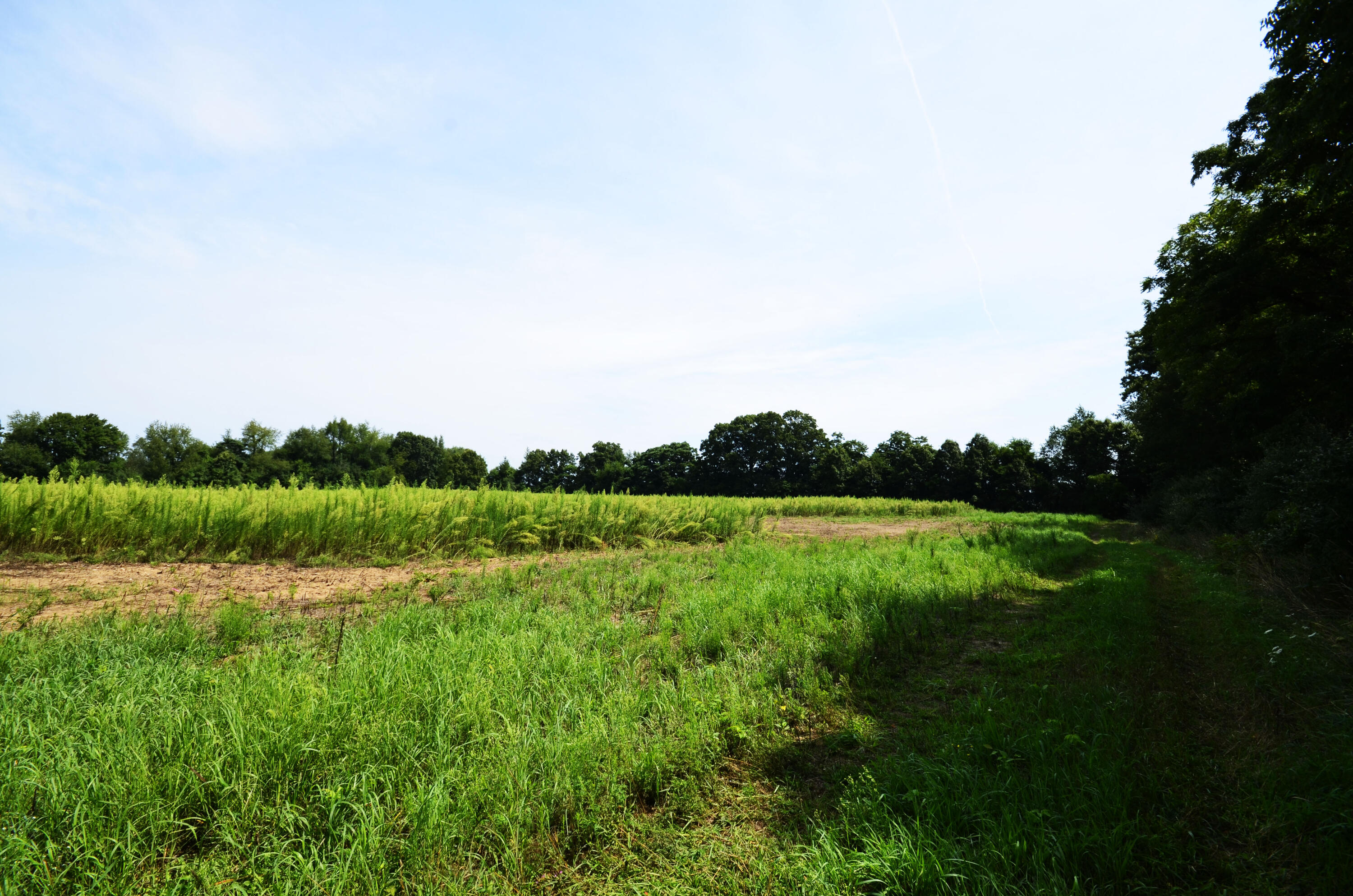 V/l Banker Street Sturgis, MI 49091 - Photo 8 of 46 _DSC0064