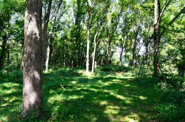 $849,000 | V/l Banker Street, Sturgis, MI 49091