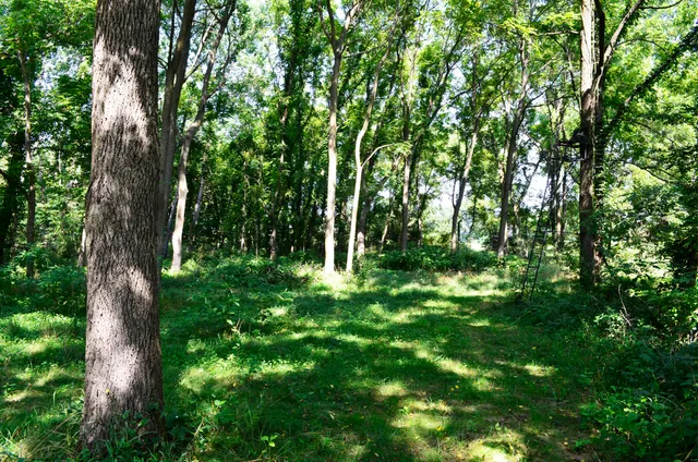 $849,000 | V/l Banker Street, Sturgis, MI 49091