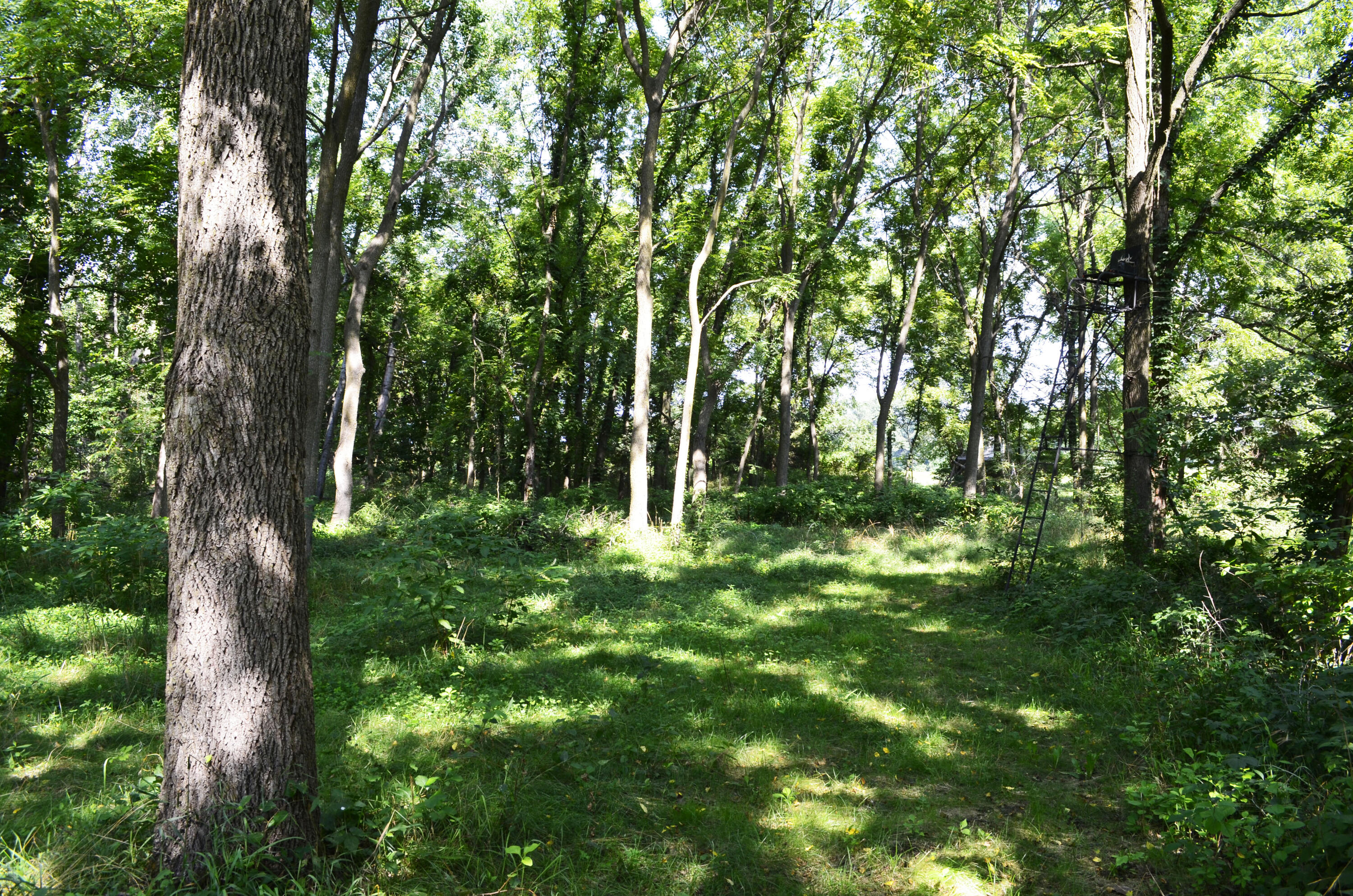 V/l Banker Street Sturgis, MI 49091 - Photo 9 of 46 _DSC0016