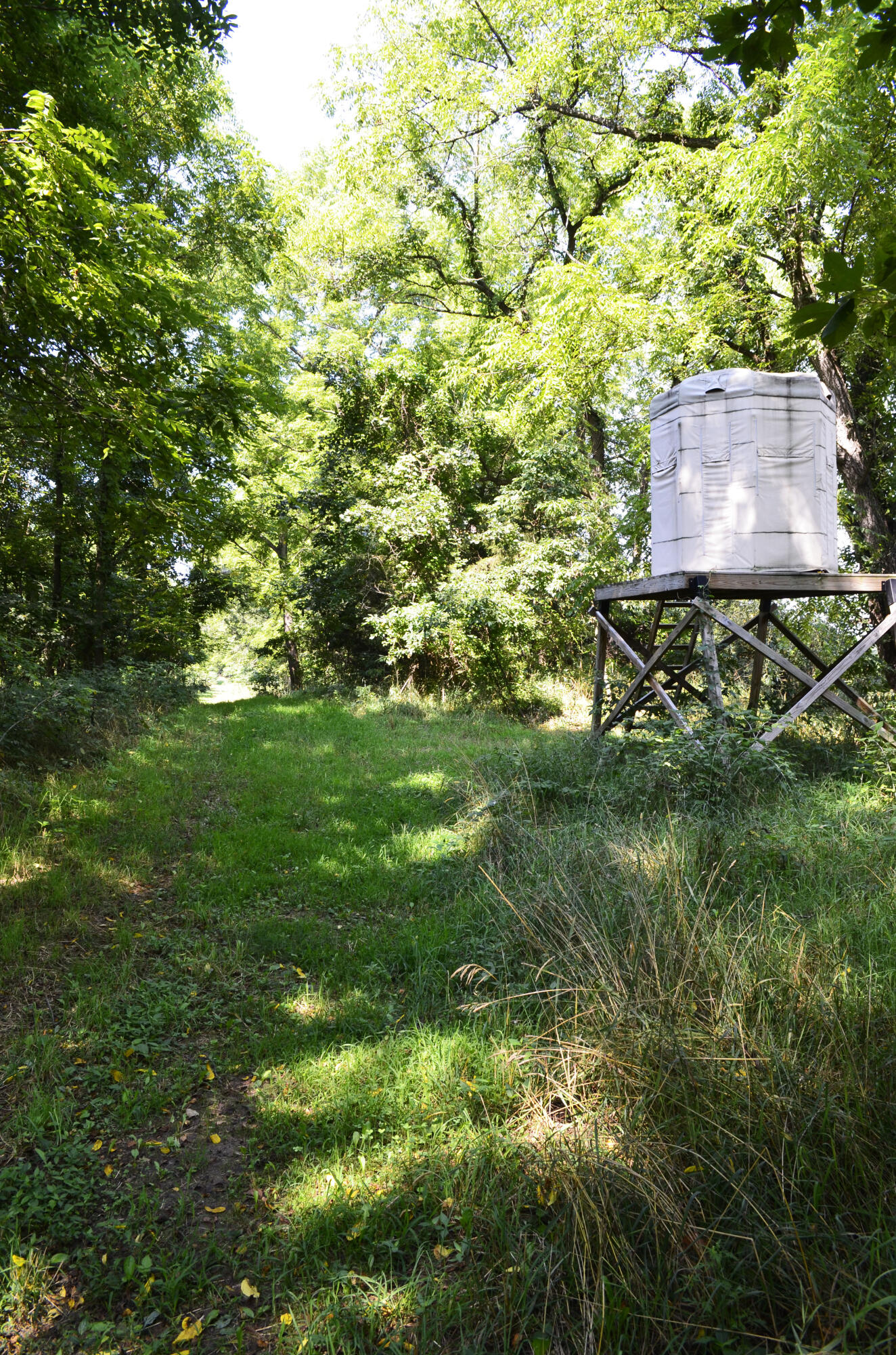 V/l Banker Street Sturgis, MI 49091 - Photo 10 of 46 _DSC0017