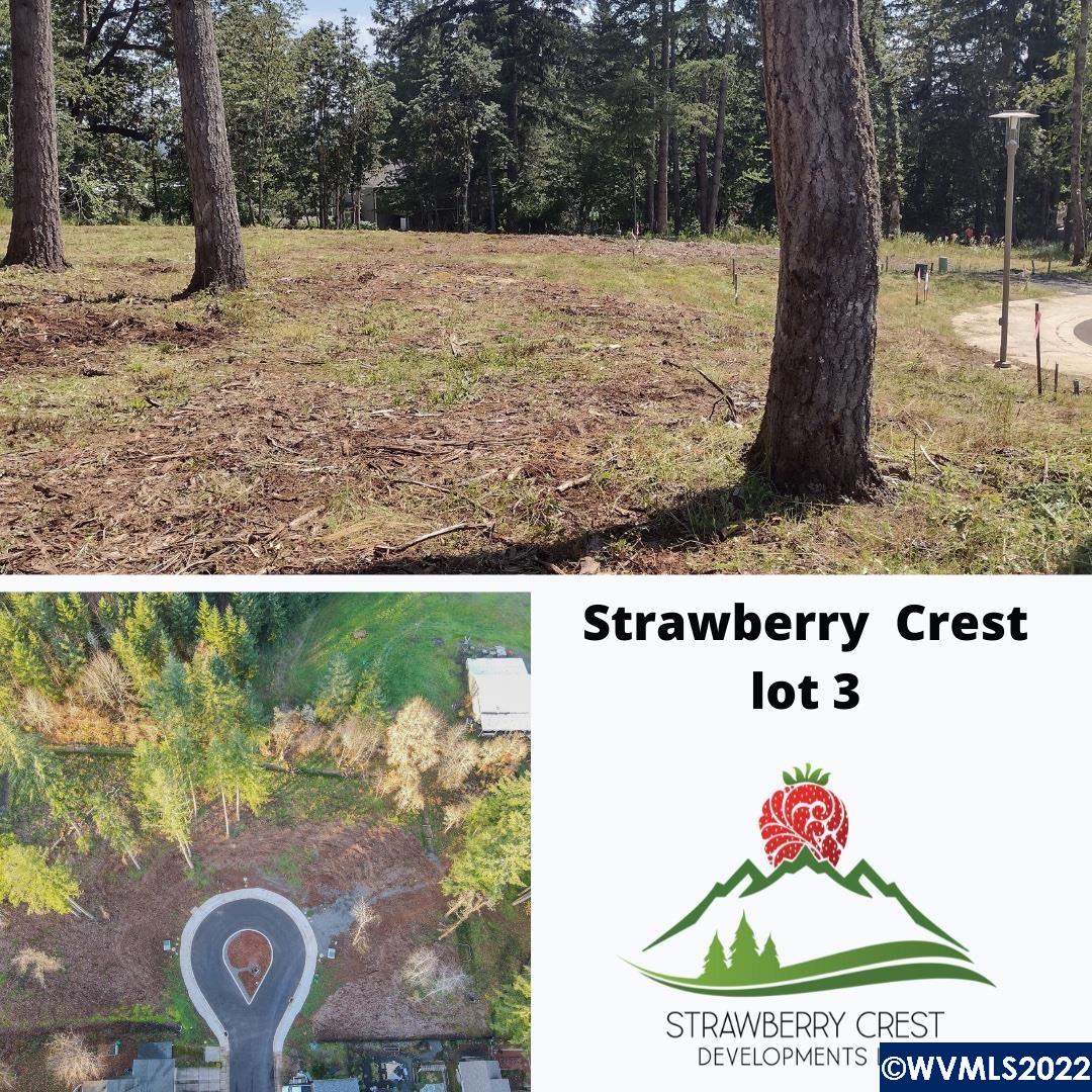 1498 Strawberry Ridge Sweet Home, OR 97386 - Photo 4 of 22