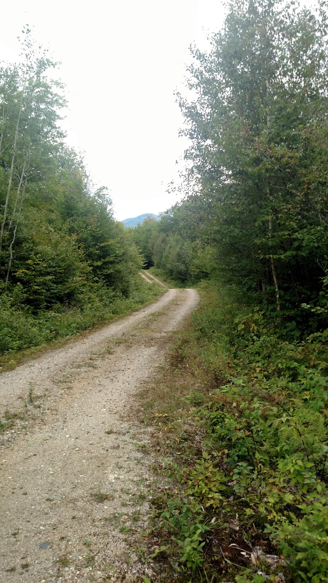 Lot 1 Runahan Road Andover, ME 04216 - Photo 4 of 15 Pelletier Subdivision 7