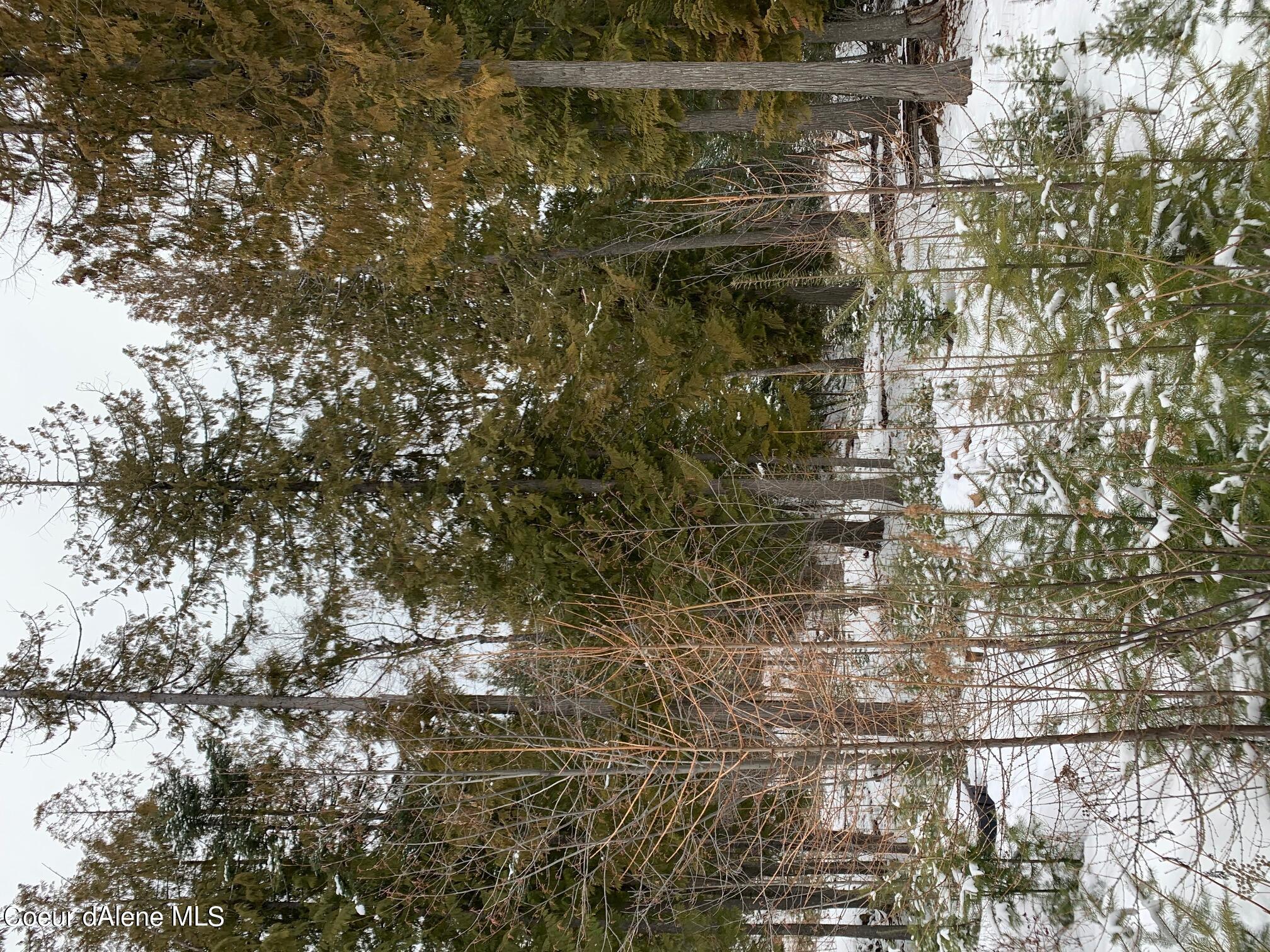 C20 Trappers Loop Sandpoint, ID 83864 - Photo 1 of 1 View from the street at the home site