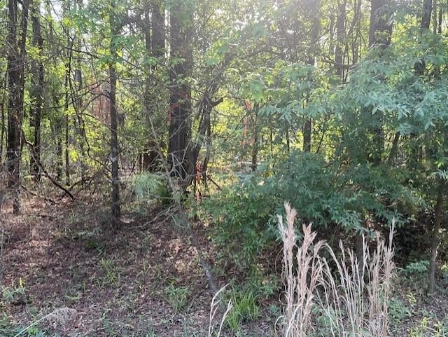Oakey Streak Road Dozier, AL 36028 - Photo 6 of 9 Gallery Image 6