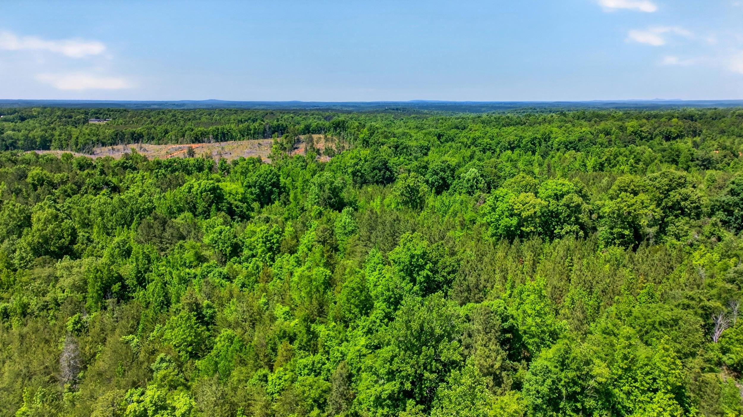 0 Gowdeysville Road Gaffney, SC 29340 - Photo 10 of 12