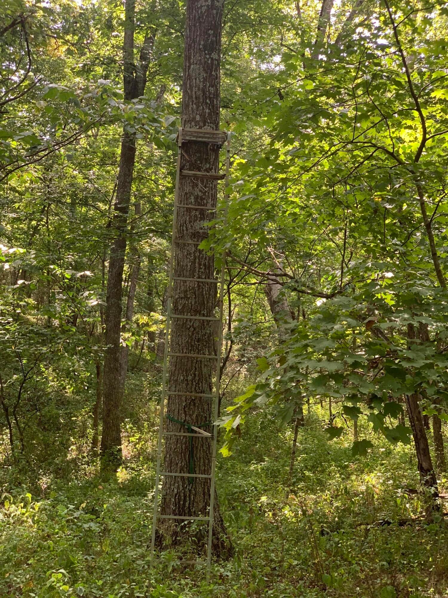 Branch Road Fulton, MO 65251 - Photo 7 of 10 406