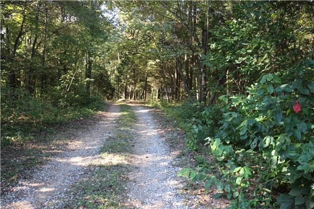 6188 Highway 161 Springfield, TN 37172 - Photo 13 of 14 Entrance to property off Highway 161!