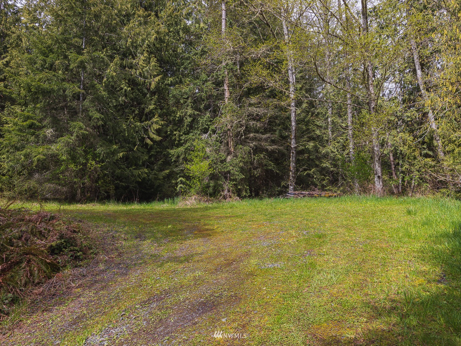 1864 Lost Mountain Road Sequim, WA 98382 - Photo 24 of 35