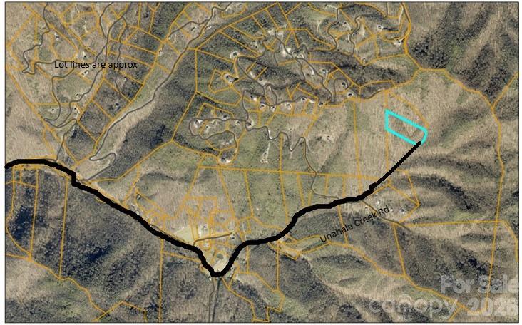 1873 Unahala Creek Road Bryson City, NC 28713 - Photo 6 of 11