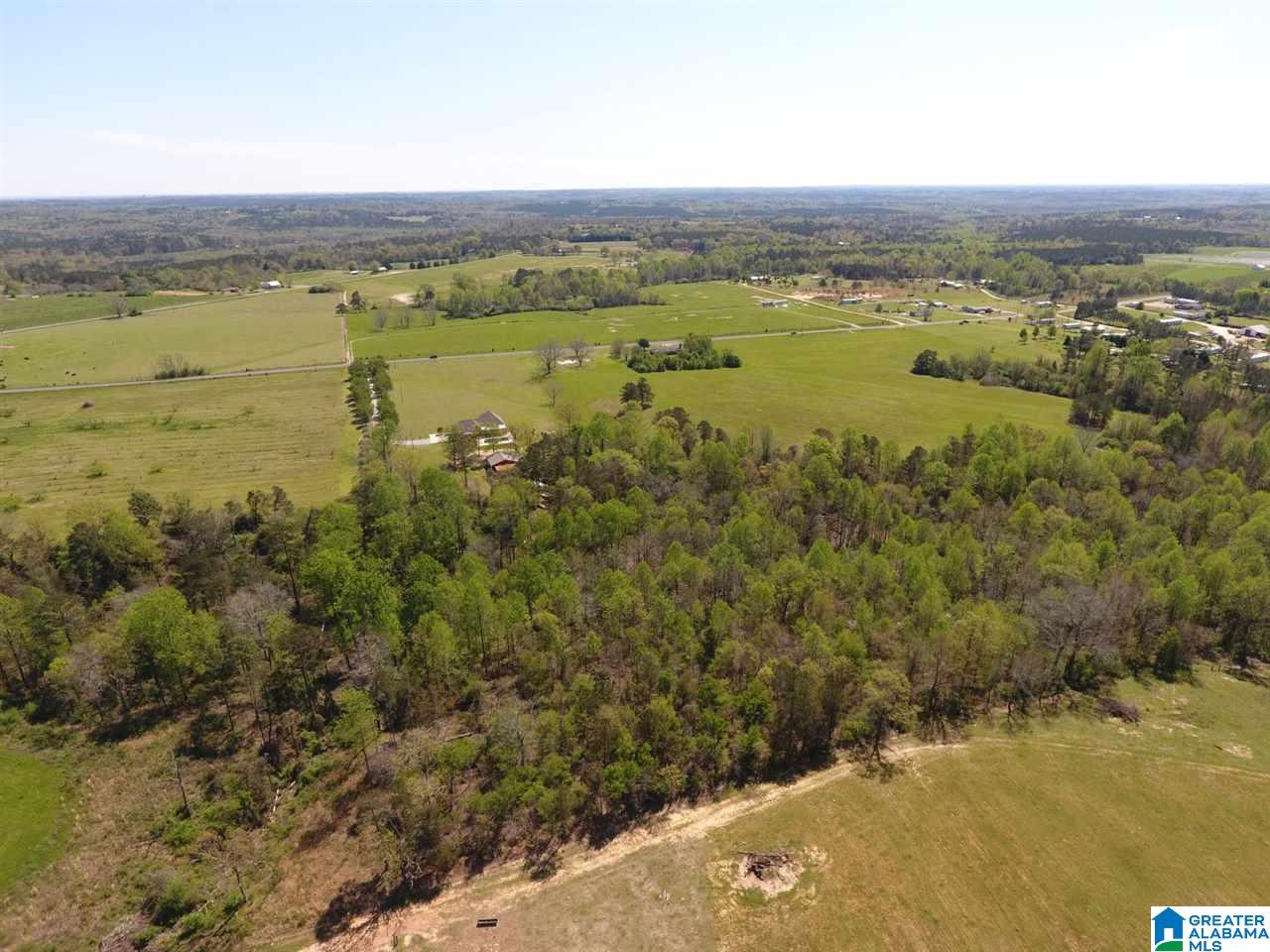0 County Road 30, Unit 1 Clanton, AL 35045 - Photo 20 of 32