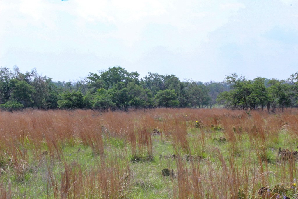 131 Lipan Loop Harper, TX 78631 - Photo 2 of 3