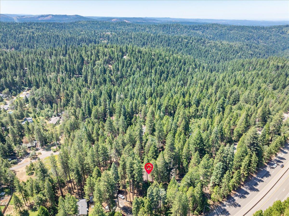 6470 Ridgeway Drive Pollock Pines, CA 95726 - Photo 52 of 57