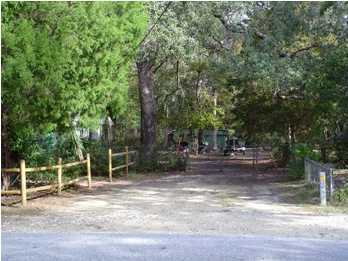 48 Carol Place Freeport, FL 32439 - Photo 3 of 17 a backyard of a house with lots of green space