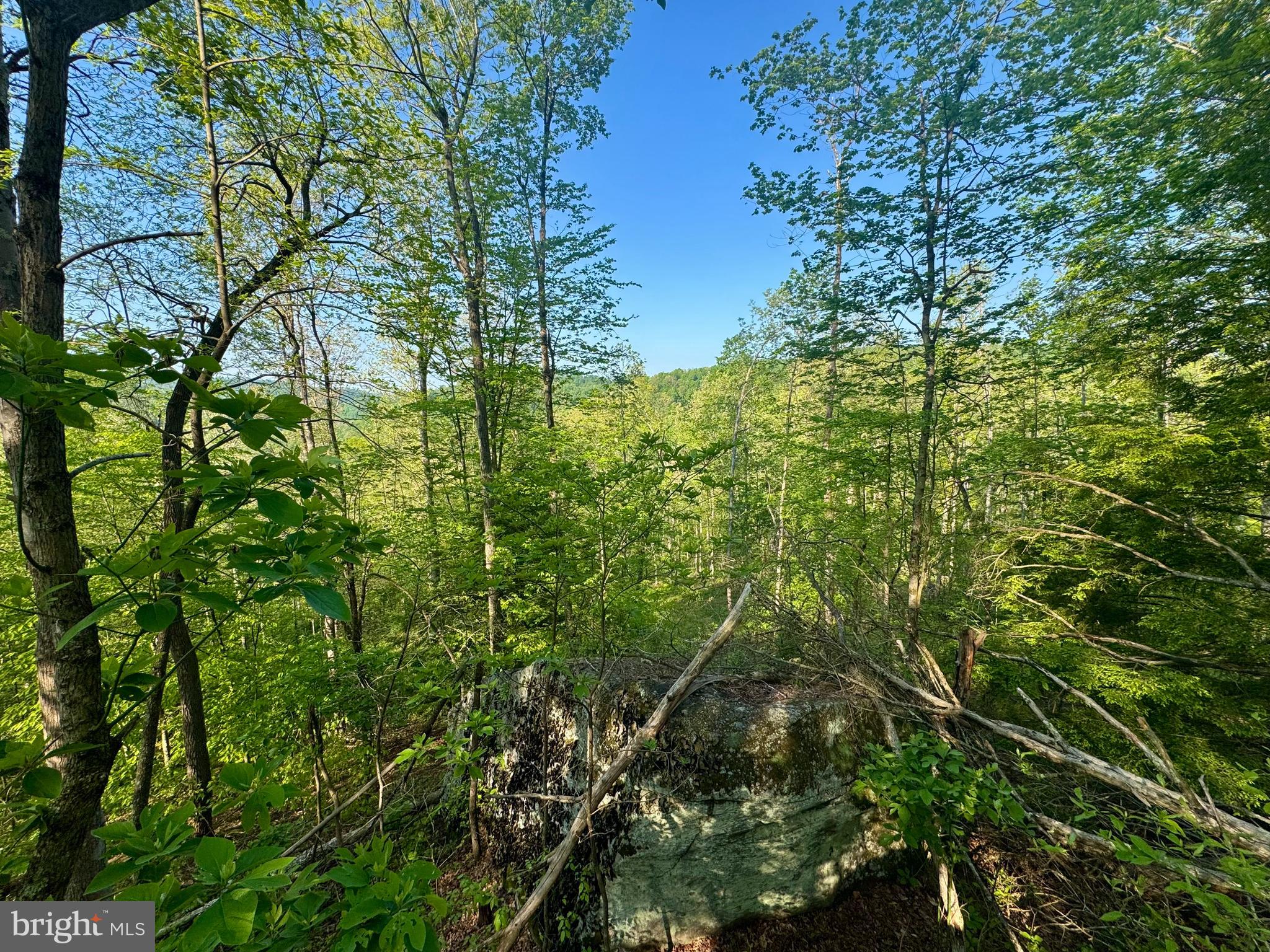 John Orr Road Independence, WV 26374 - Photo 21 of 37