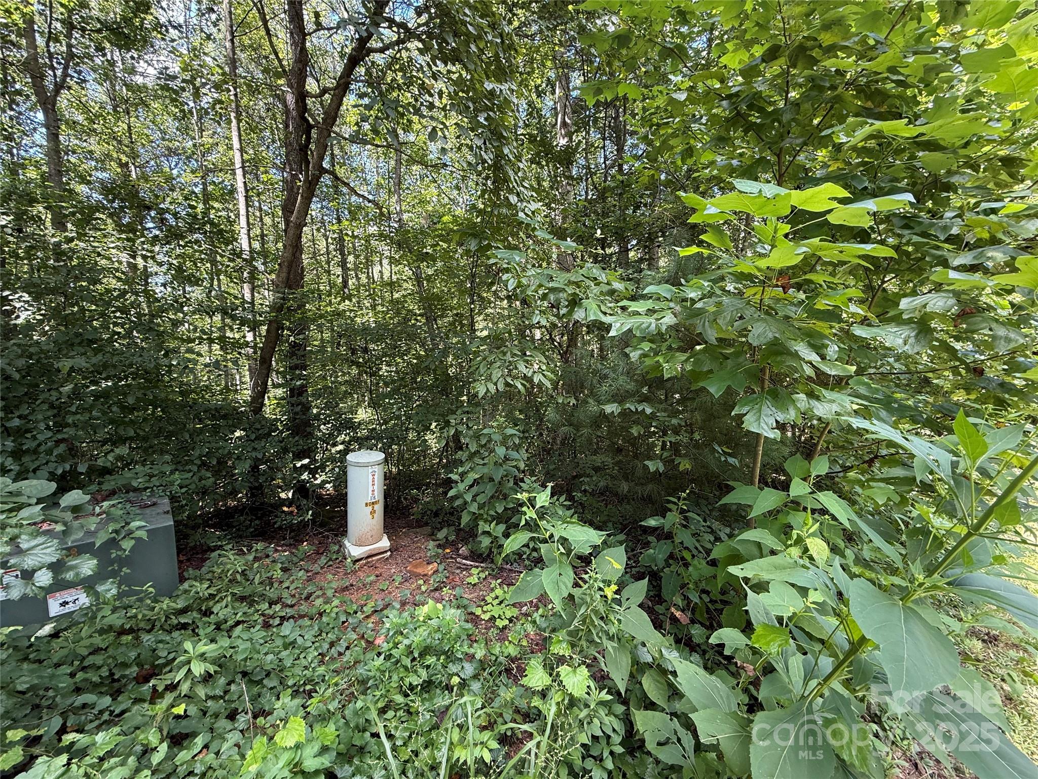 Lot 31 West Meadow Parkway, Unit 31 Moravian Falls, NC 28654 - Photo 11 of 12
