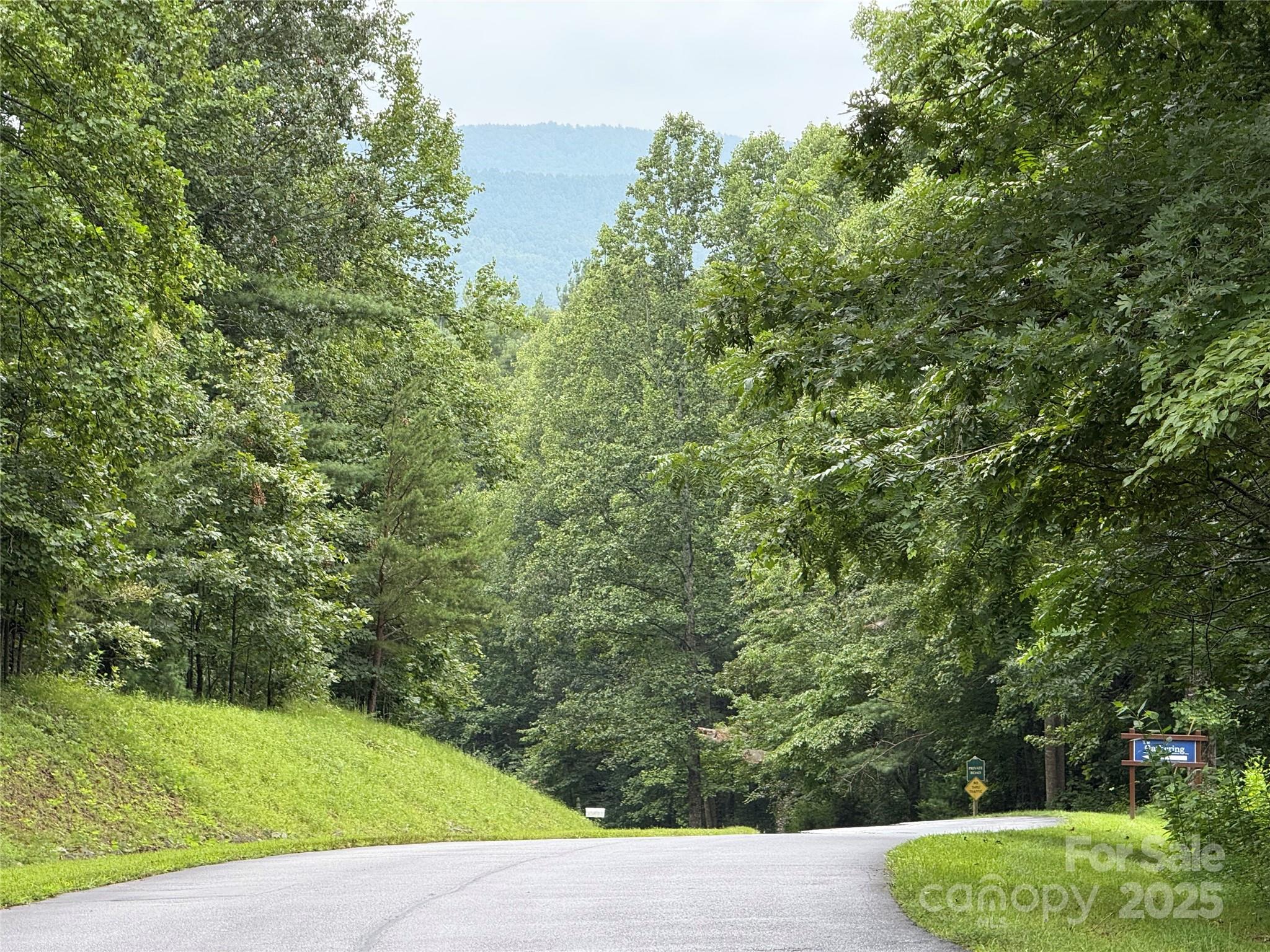 Lot 31 West Meadow Parkway, Unit 31 Moravian Falls, NC 28654 - Photo 2 of 12