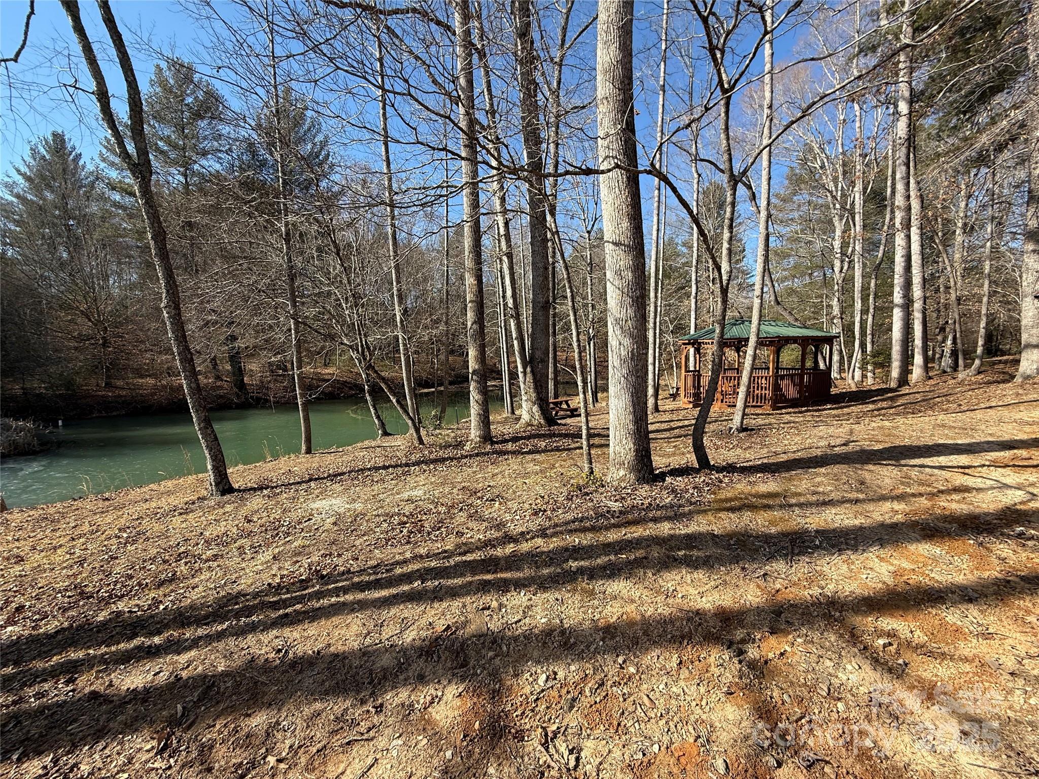 Lot 31 West Meadow Parkway, Unit 31 Moravian Falls, NC 28654 - Photo 7 of 12
