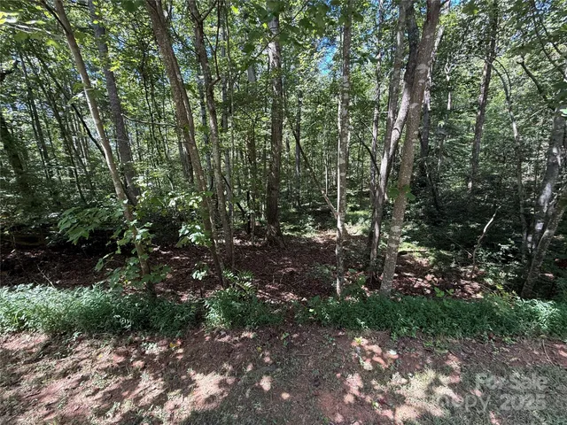 $26,200 | Lot 31 West Meadow Parkway, Unit 31, Moravian Falls, NC 28654