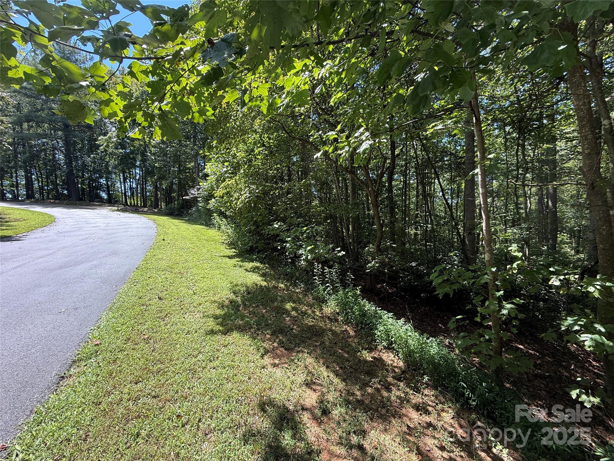 Lot 31 West Meadow Parkway, Unit 31 Moravian Falls, NC 28654 - Photo 9 of 12