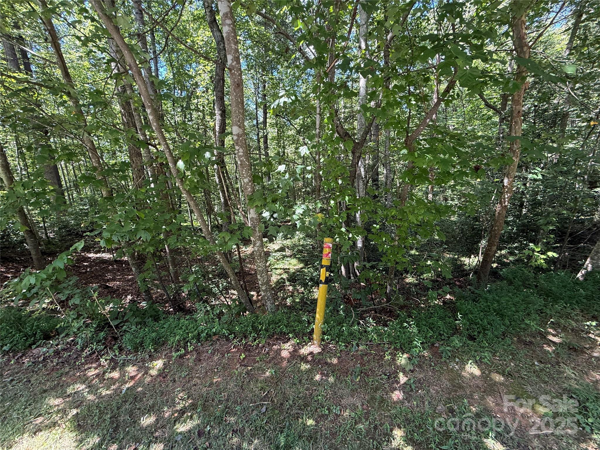 Lot 31 West Meadow Parkway, Unit 31 Moravian Falls, NC 28654 - Photo 10 of 12