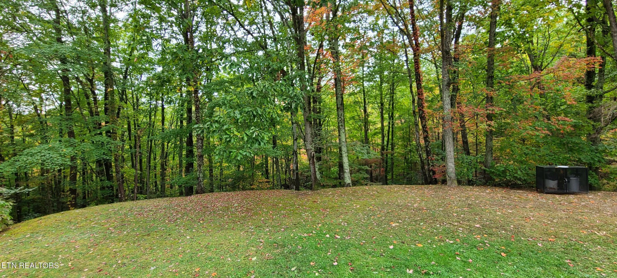 1081 Cove Road, Unit 814 Sevierville, TN 37876 - Photo 23 of 26 Gallery Image 23