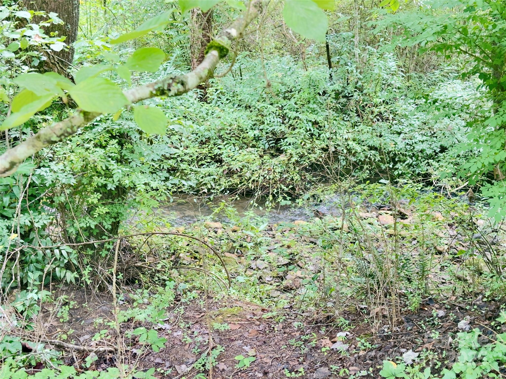 0 Bethlehem Road Old Fort, NC 28762 - Photo 2 of 8