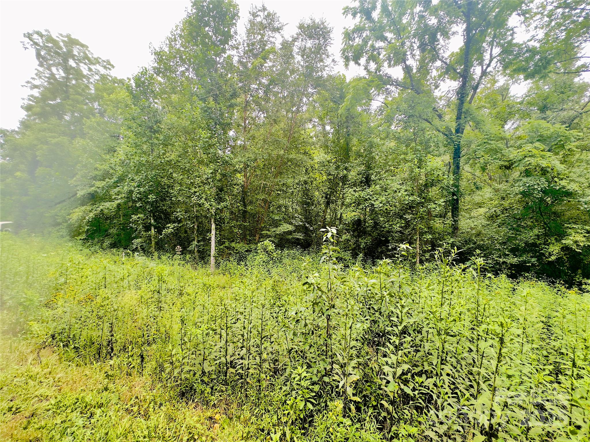 0 Bethlehem Road Old Fort, NC 28762 - Photo 5 of 8
