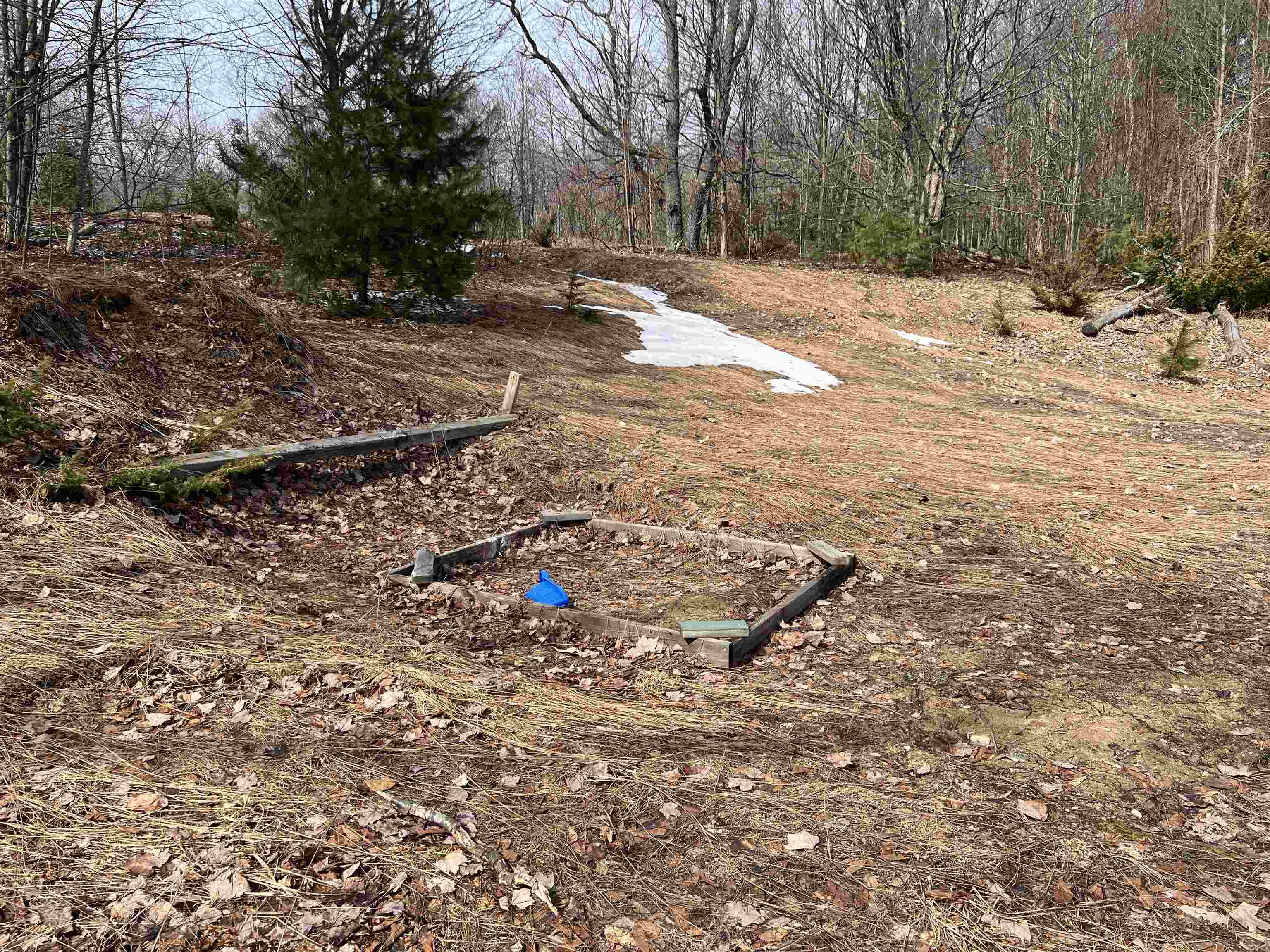 3660 Luce Road South Boardman, MI 49680 - Photo 20 of 29