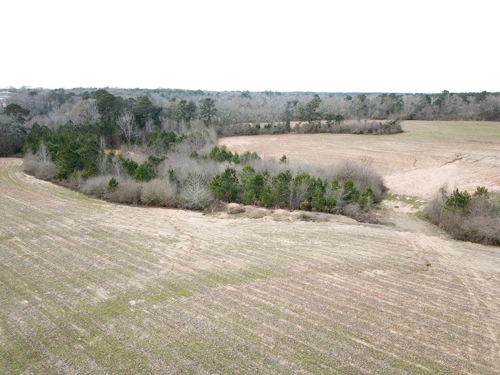 50.45-acres Trawick Road Dothan, AL 36301 - Photo 41 of 62