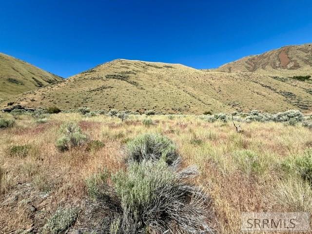 Lot 13-14 Old Stage Road Salmon, ID 83467 - Photo 4 of 4