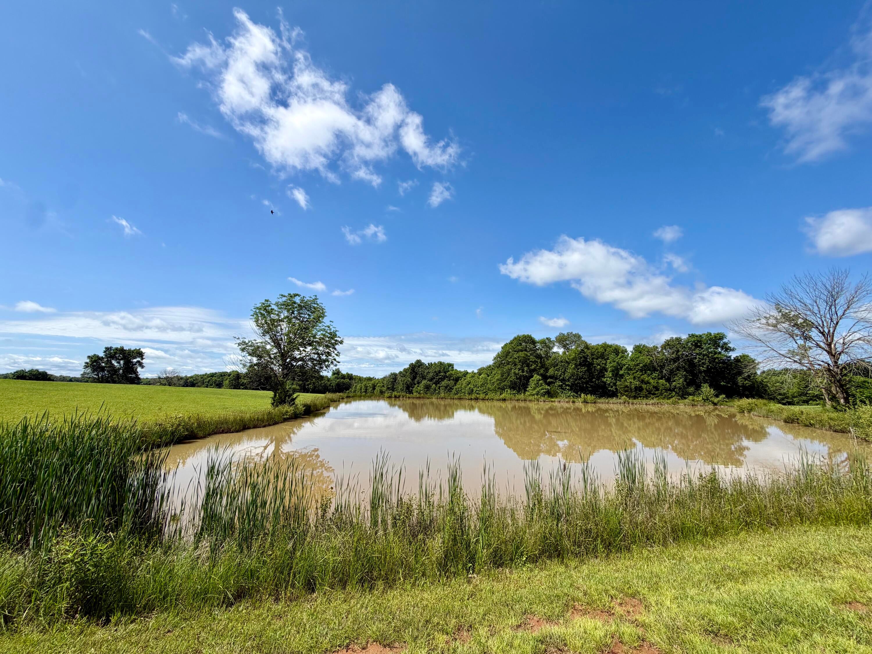 600 Canole Road Sturgeon, MO 65284 - Photo 8 of 26 IMG_1684
