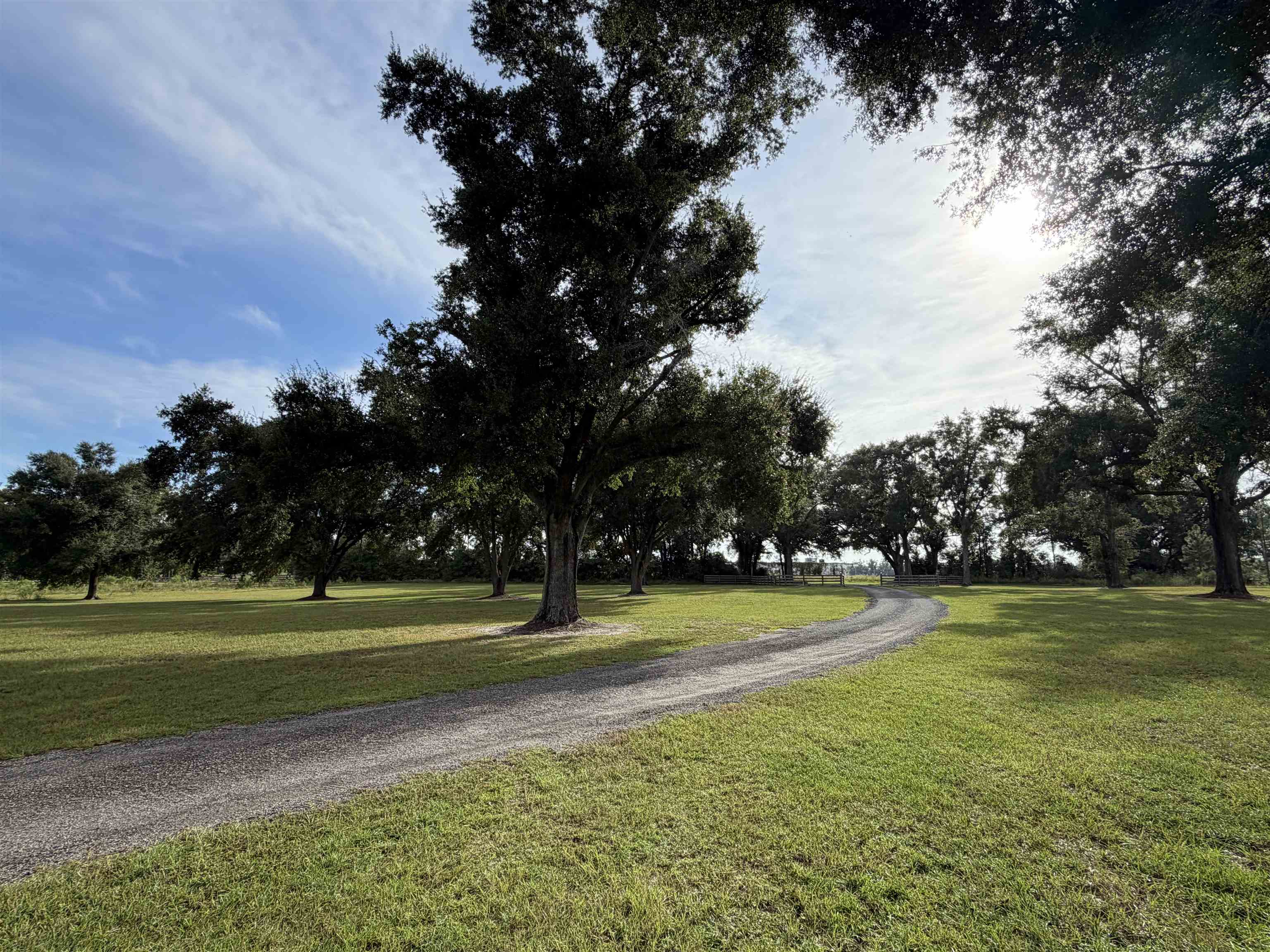 3812 Southeast County 255 Road Madison, FL 32340 - Photo 28 of 31 Gallery Image 28