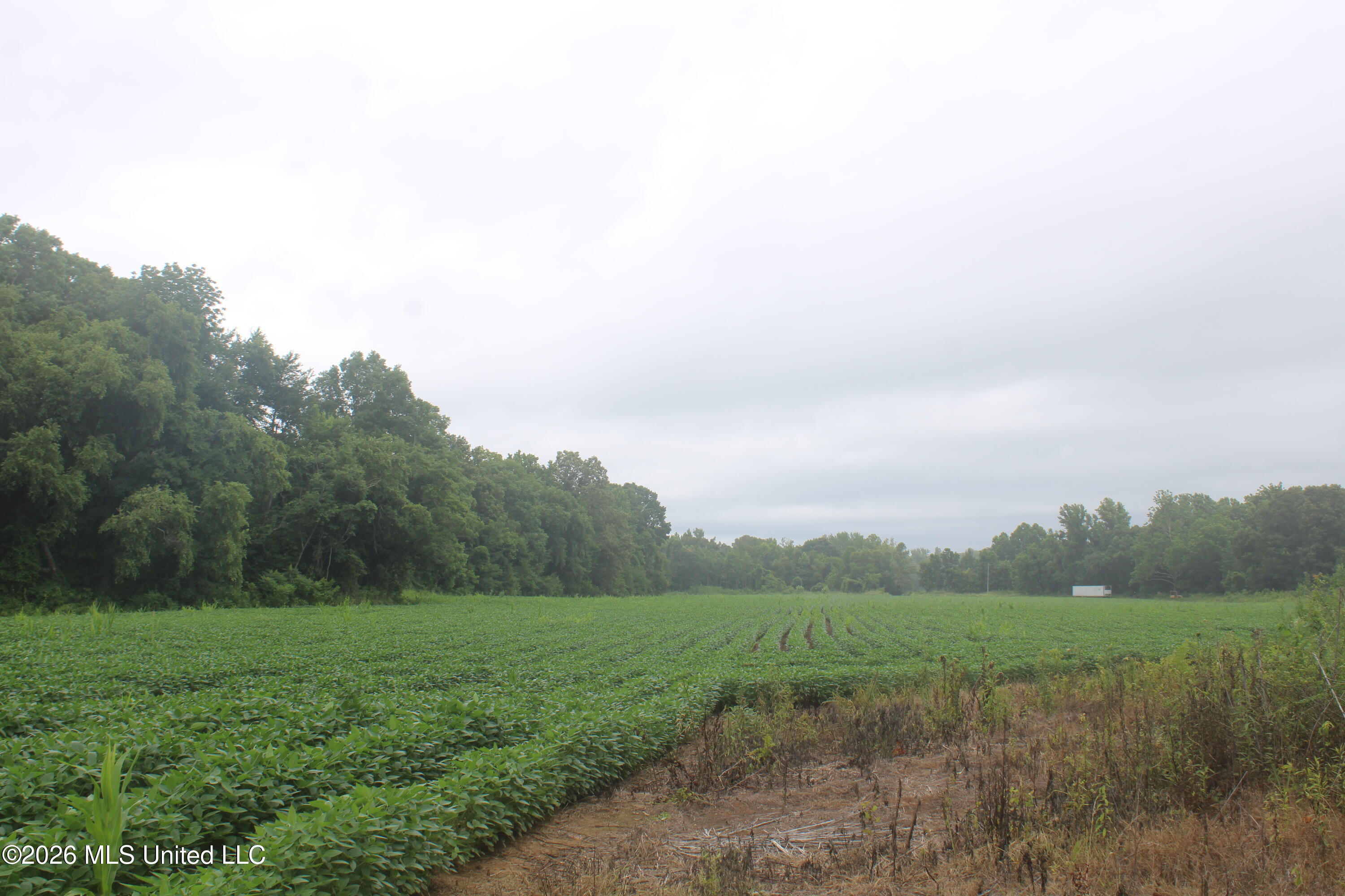 1500 Allen Corner Road Lamar, MS 38642 - Photo 12 of 17 IMG_7980
