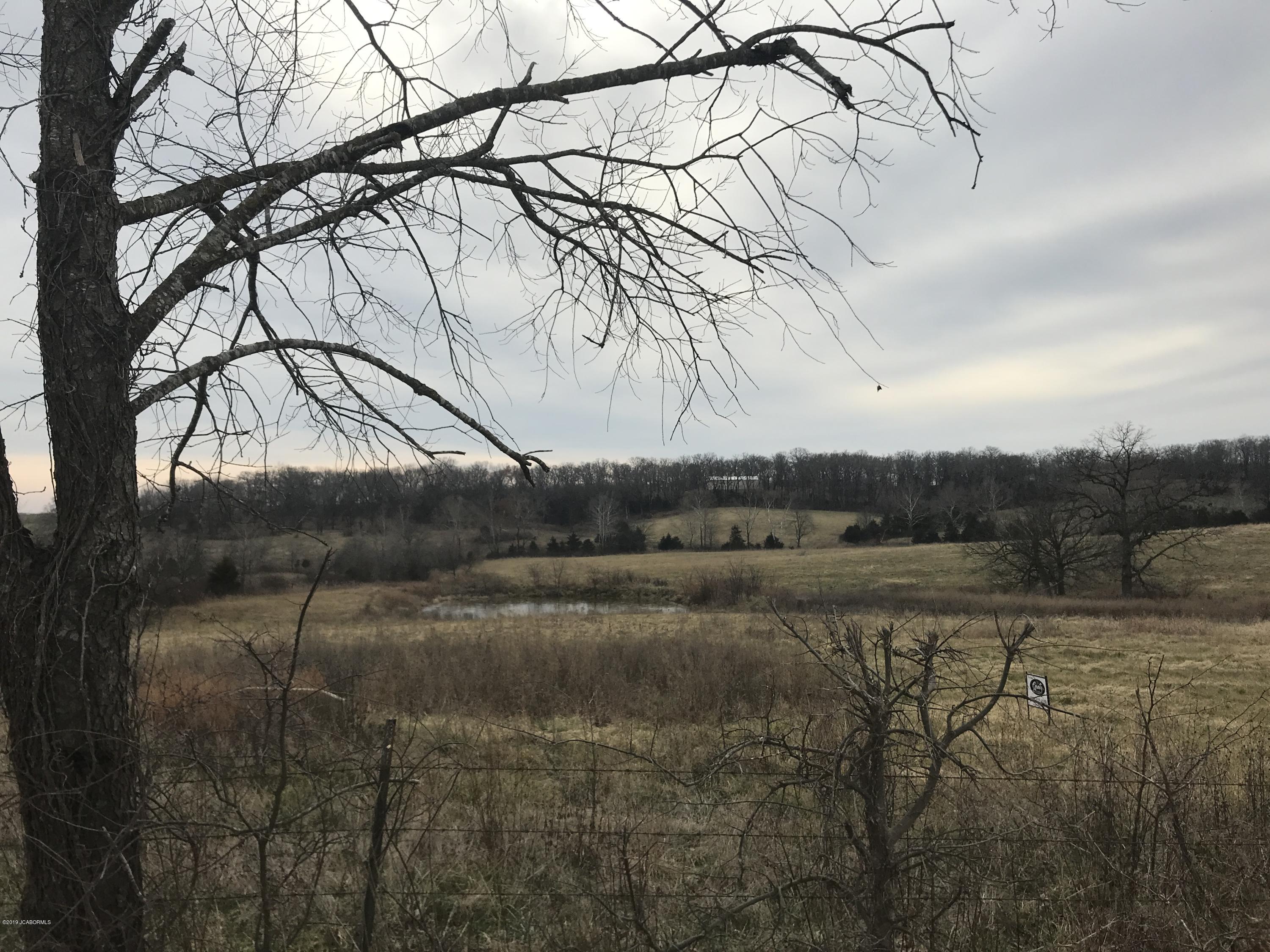 Tbd County Line Road Russellville, MO 65074 - Photo 4 of 4