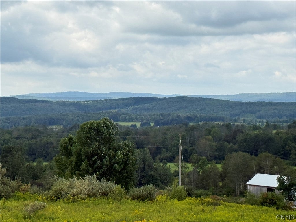 2755 Center Road McGraw, NY 13101 - Photo 34 of 47 Gallery Image 34