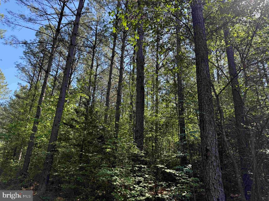 Brandy Creek Road Emporia, VA 23847 - Photo 10 of 15