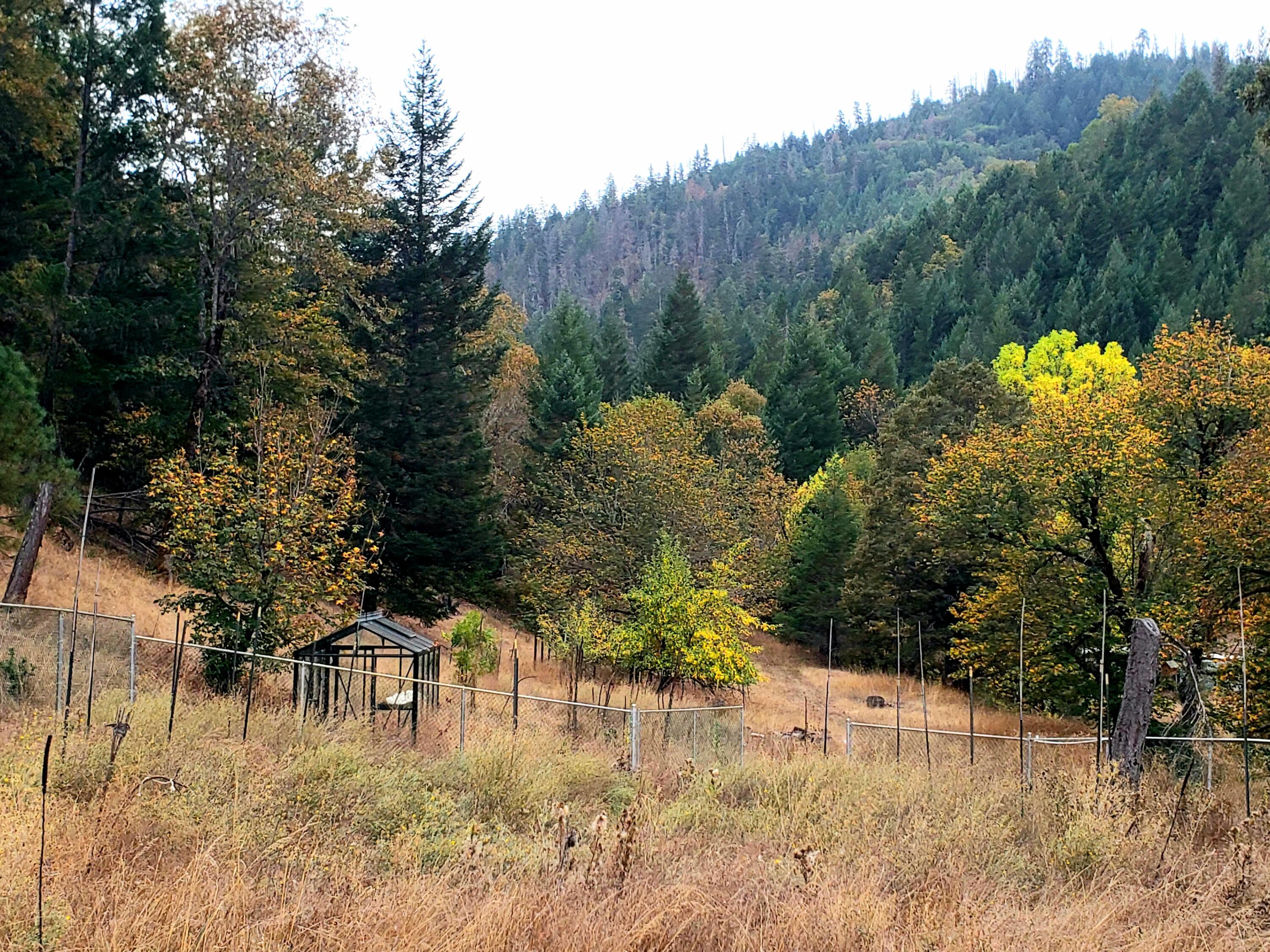 3969 Old Ferry Road Shady Cove, OR 97539 - Photo 1 of 20 20221109_055515